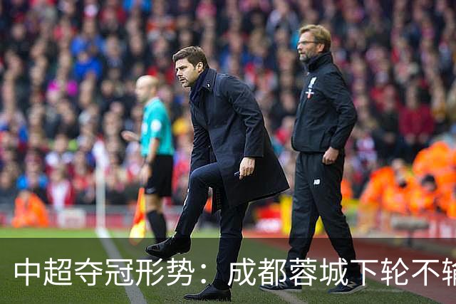 中超夺冠形势：成都蓉城下轮不输就夺冠！大连英博想逆袭只有唯一可能