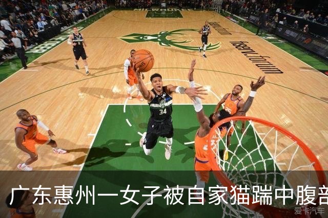 广东惠州一女子被自家猫踹中腹部，凌晨送医急救确诊为卵巢黄体囊肿破裂，医生提醒：月经后半周期，黄体囊肿像气球被吹胀一般，最为脆弱