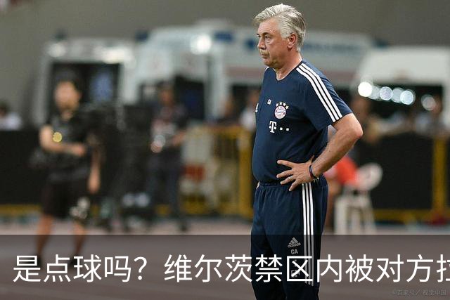 是点球吗？维尔茨禁区内被对方拉拽后倒地，主裁判没有表示
