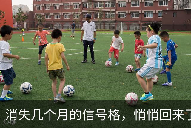 消失几个月的信号格，悄悄回来了