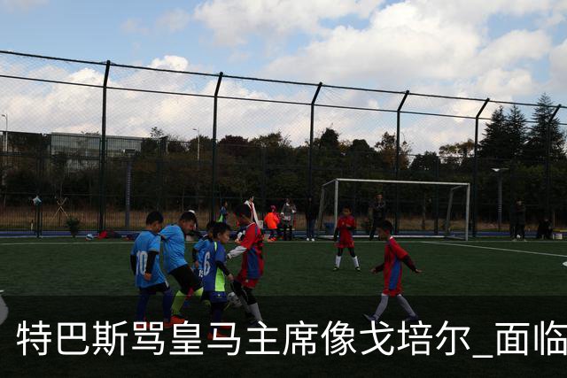 特巴斯骂皇马主席像戈培尔 面临停职危机