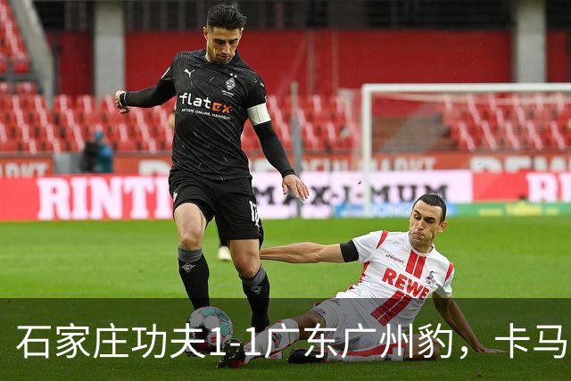 石家庄功夫1-1广东广州豹，卡马拉破门，多米尼克扳平
