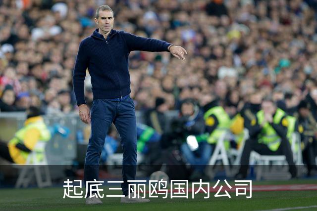 起底三丽鸥国内公司