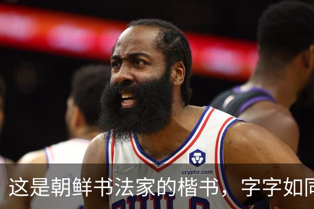 这是朝鲜书法家的楷书，字字如同打印机，令丑书者汗颜不已！