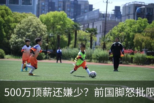 500万顶薪还嫌少？前国脚怒批限薪，说国足收入只有日韩三分之一