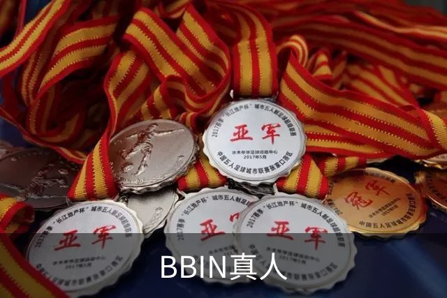 BBIN真人公司介绍图片